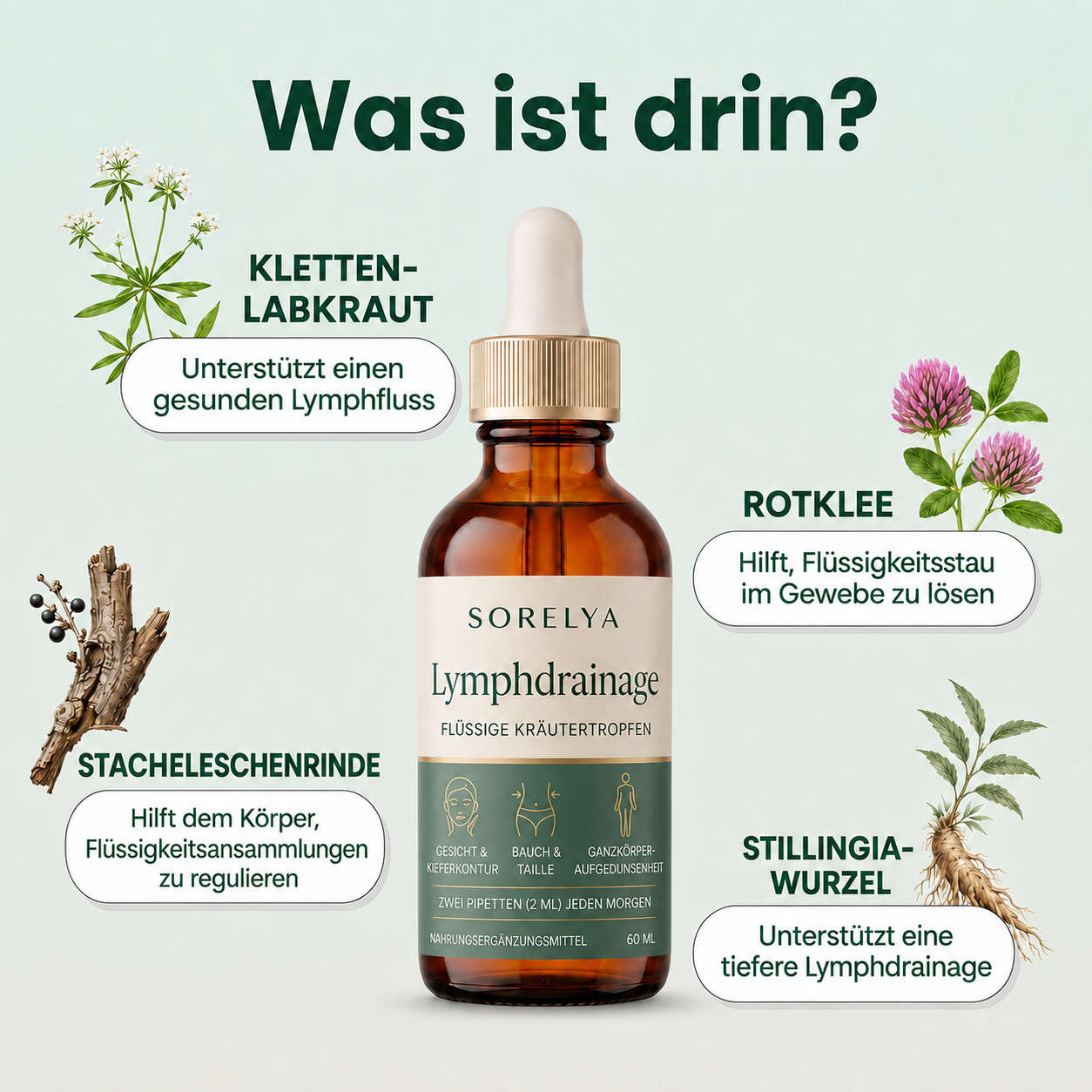 Lymphdrainage-Tropfen