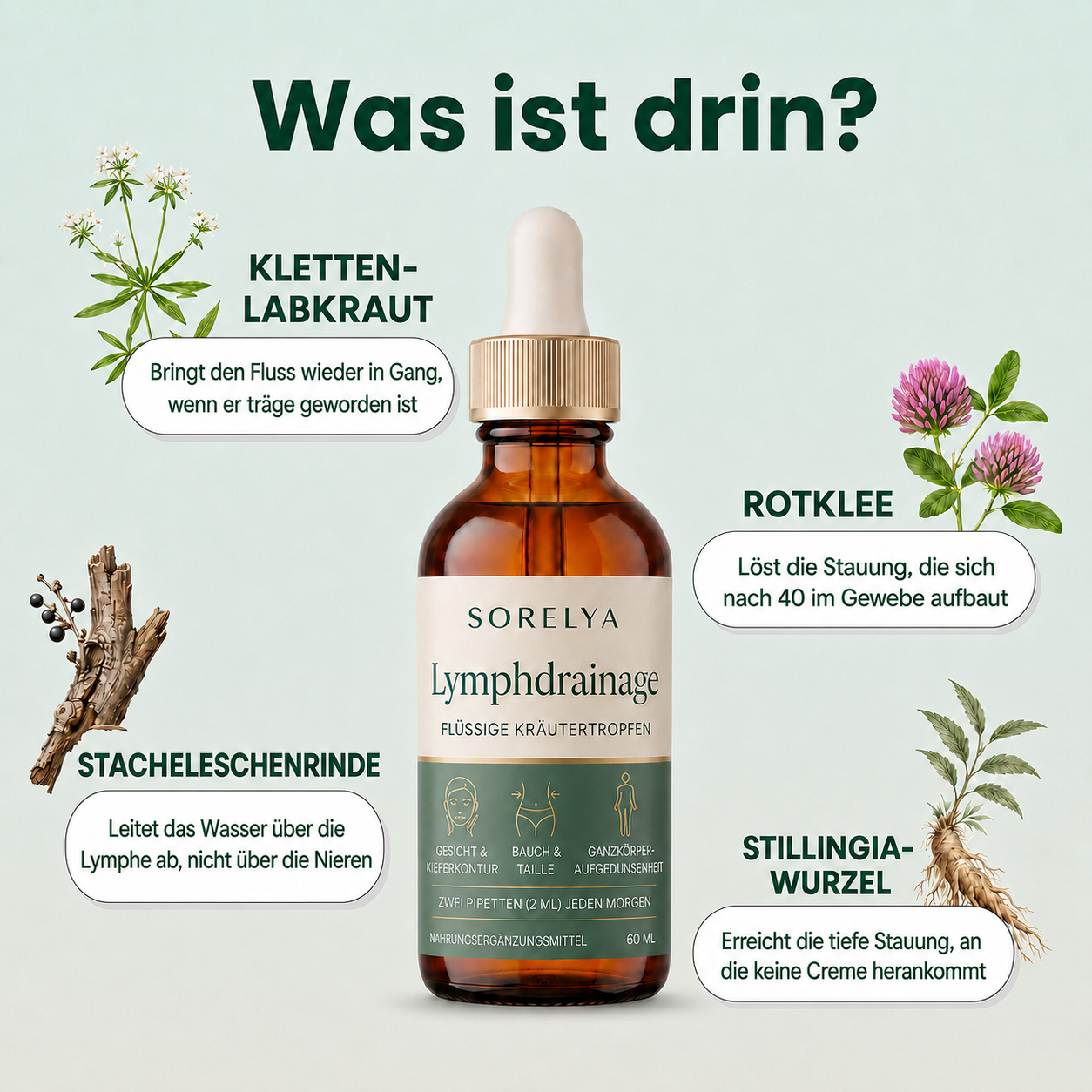 Lymphdrainage-Tropfen